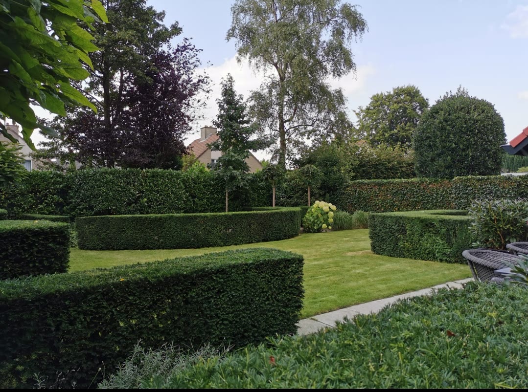 Aangelegde tuin met strak gesnoeide hagen